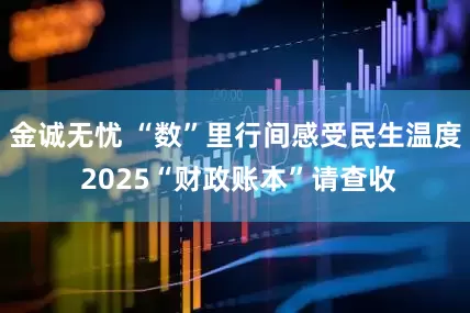 金诚无忧 “数”里行间感受民生温度 2025“财政账本”请查收