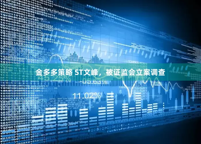 金多多策略 ST文峰，被证监会立案调查